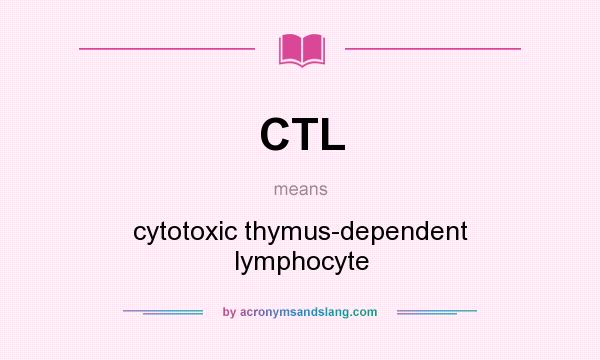 What does CTL mean? It stands for cytotoxic thymus-dependent lymphocyte