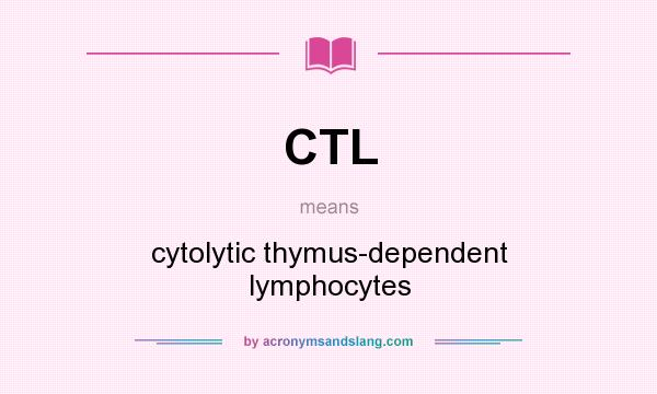What does CTL mean? It stands for cytolytic thymus-dependent lymphocytes