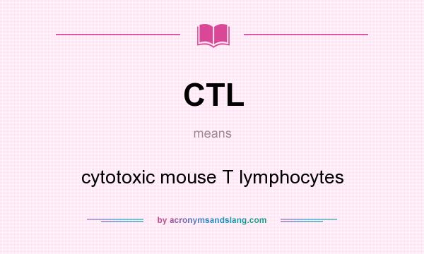 What does CTL mean? It stands for cytotoxic mouse T lymphocytes