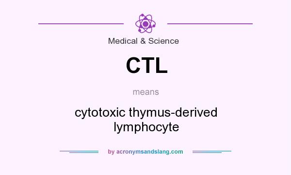 What does CTL mean? It stands for cytotoxic thymus-derived lymphocyte