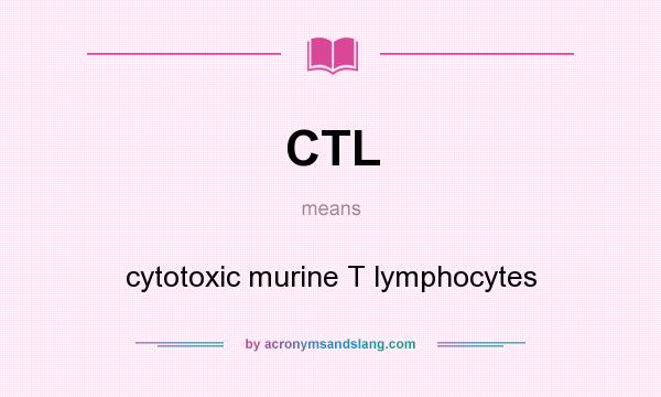 What does CTL mean? It stands for cytotoxic murine T lymphocytes