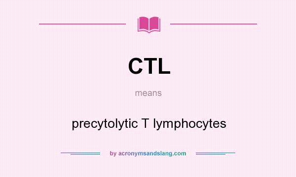 What does CTL mean? It stands for precytolytic T lymphocytes