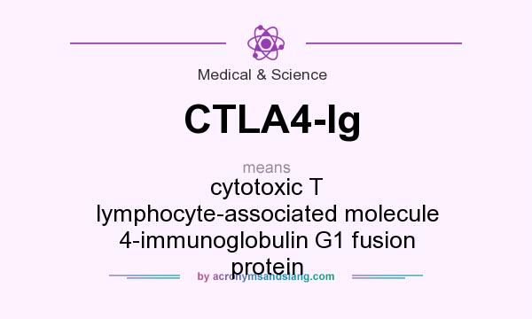 What does CTLA4-Ig mean? It stands for cytotoxic T lymphocyte-associated molecule 4-immunoglobulin G1 fusion protein