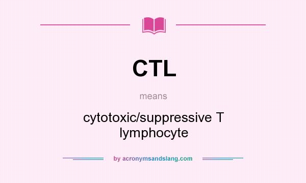 What does CTL mean? It stands for cytotoxic/suppressive T lymphocyte