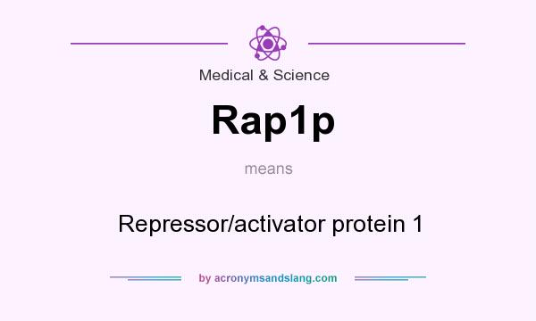What does Rap1p mean? It stands for Repressor/activator protein 1