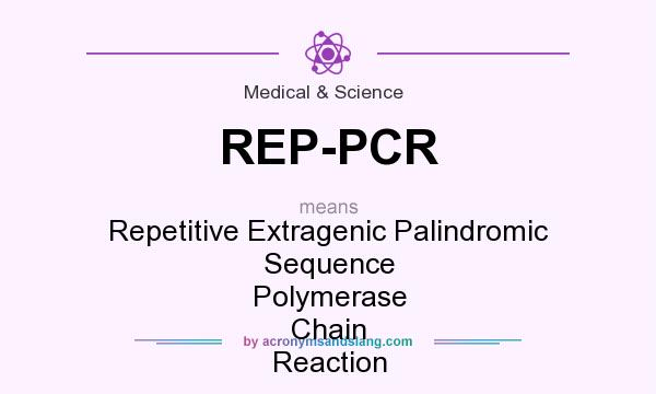 What does REP-PCR mean? It stands for Repetitive Extragenic Palindromic Sequence Polymerase Chain Reaction