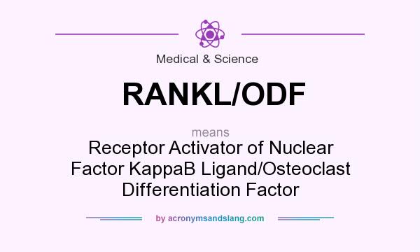 What does RANKL/ODF mean? It stands for Receptor Activator of Nuclear Factor KappaB Ligand/Osteoclast Differentiation Factor
