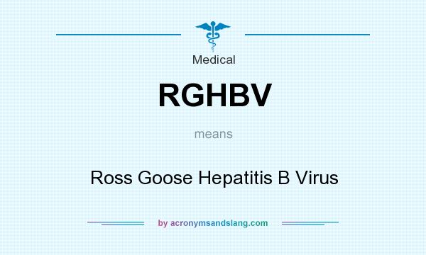 What does RGHBV mean? It stands for Ross Goose Hepatitis B Virus