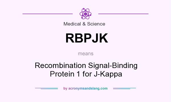 What does RBPJK mean? It stands for Recombination Signal-Binding Protein 1 for J-Kappa