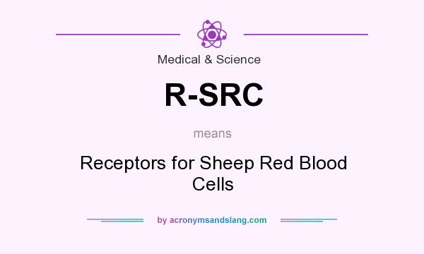 What does R-SRC mean? It stands for Receptors for Sheep Red Blood Cells