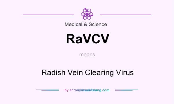 What does RaVCV mean? It stands for Radish Vein Clearing Virus