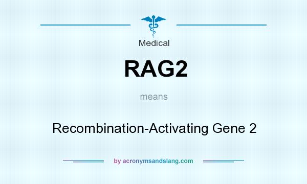 What does RAG2 mean? It stands for Recombination-Activating Gene 2