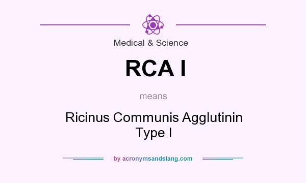 What does RCA I mean? It stands for Ricinus Communis Agglutinin Type I