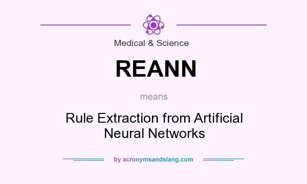What does REANN mean? It stands for Rule Extraction from Artificial Neural Networks