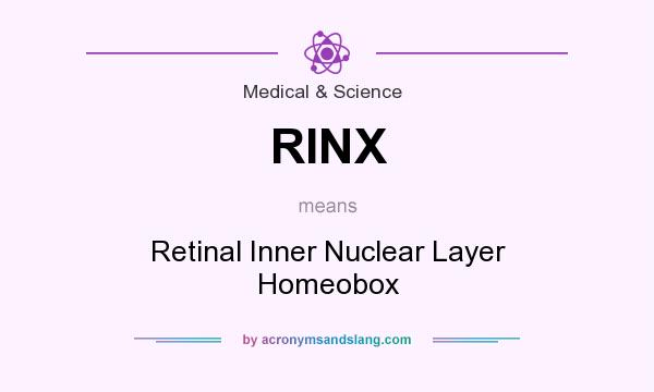 What does RINX mean? It stands for Retinal Inner Nuclear Layer Homeobox