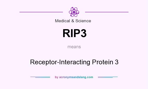 What does RIP3 mean? It stands for Receptor-Interacting Protein 3