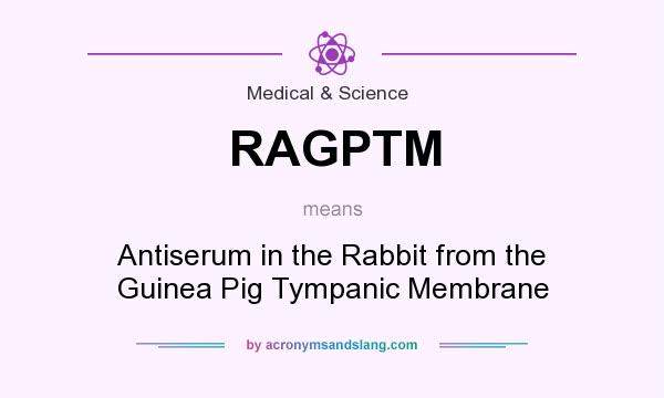 What does RAGPTM mean? It stands for Antiserum in the Rabbit from the Guinea Pig Tympanic Membrane