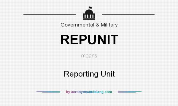 What does REPUNIT mean? It stands for Reporting Unit