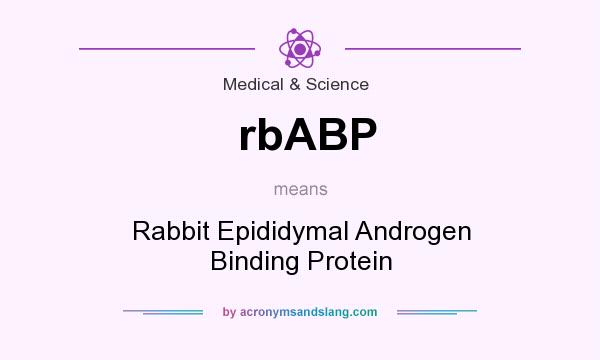 What does rbABP mean? It stands for Rabbit Epididymal Androgen Binding Protein