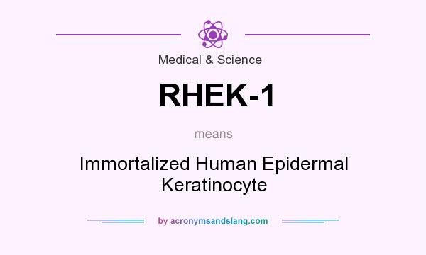 What does RHEK-1 mean? It stands for Immortalized Human Epidermal Keratinocyte