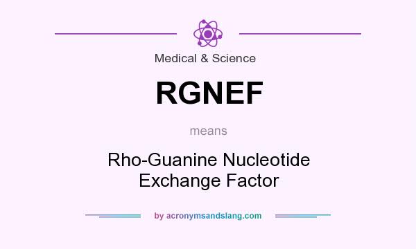 What does RGNEF mean? It stands for Rho-Guanine Nucleotide Exchange Factor