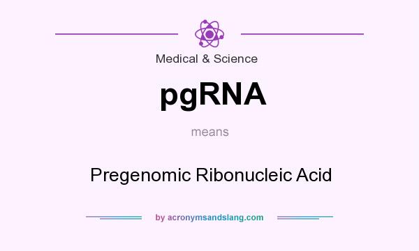 What does pgRNA mean? It stands for Pregenomic Ribonucleic Acid