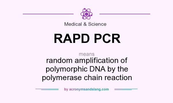 What does RAPD PCR mean? It stands for random amplification of polymorphic DNA by the polymerase chain reaction