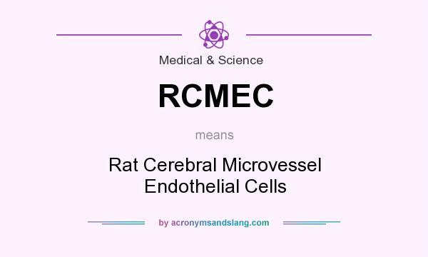What does RCMEC mean? It stands for Rat Cerebral Microvessel Endothelial Cells