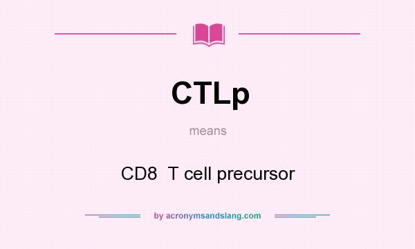 What does CTLp mean? It stands for CD8  T cell precursor