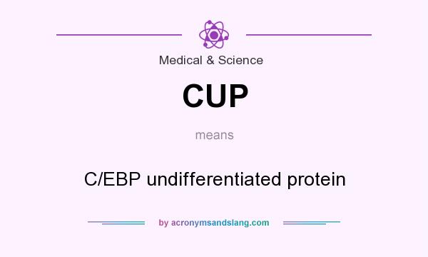 What does CUP mean? It stands for C/EBP undifferentiated protein