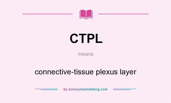 What does CTPL mean? It stands for connective-tissue plexus layer