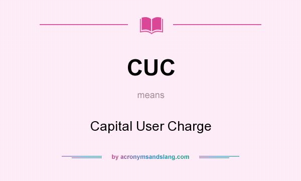 What does CUC mean? It stands for Capital User Charge
