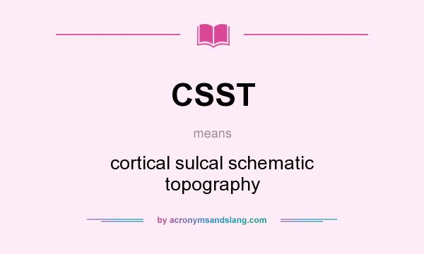 What does CSST mean? It stands for cortical sulcal schematic topography