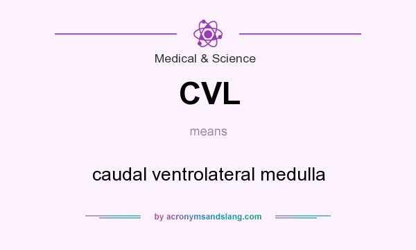 What does CVL mean? It stands for caudal ventrolateral medulla