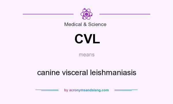 What does CVL mean? It stands for canine visceral leishmaniasis
