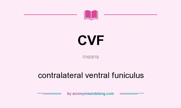 What does CVF mean? It stands for contralateral ventral funiculus