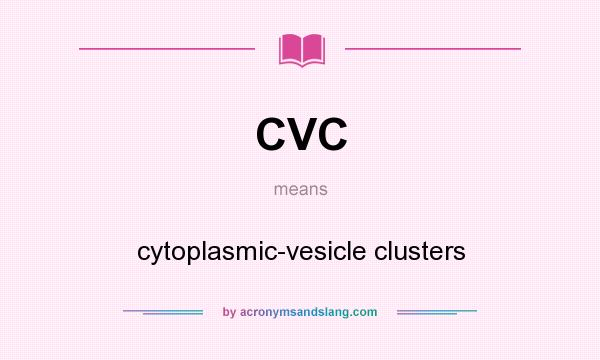 What does CVC mean? It stands for cytoplasmic-vesicle clusters