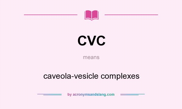 What does CVC mean? It stands for caveola-vesicle complexes