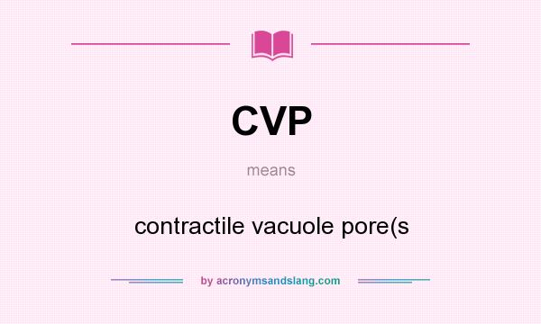 What does CVP mean? It stands for contractile vacuole pore(s