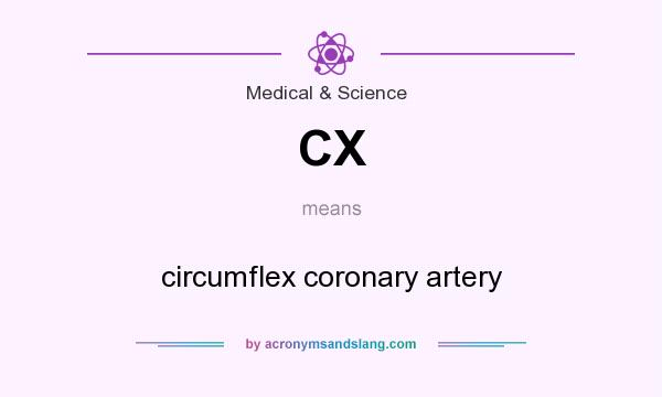 What does CX mean? It stands for circumflex coronary artery