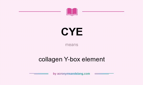 What does CYE mean? It stands for collagen Y-box element