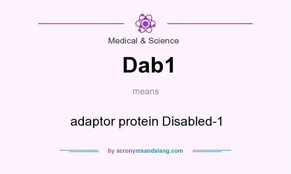 What does Dab1 mean? It stands for adaptor protein Disabled-1