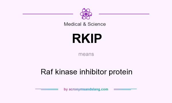 What does RKIP mean? It stands for Raf kinase inhibitor protein