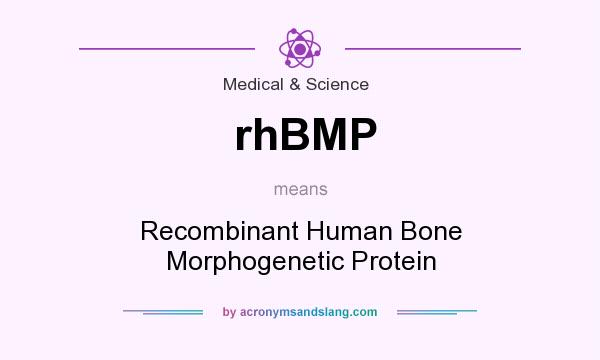 What does rhBMP mean? It stands for Recombinant Human Bone Morphogenetic Protein