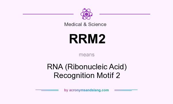 What does RRM2 mean? It stands for RNA (Ribonucleic Acid) Recognition Motif 2