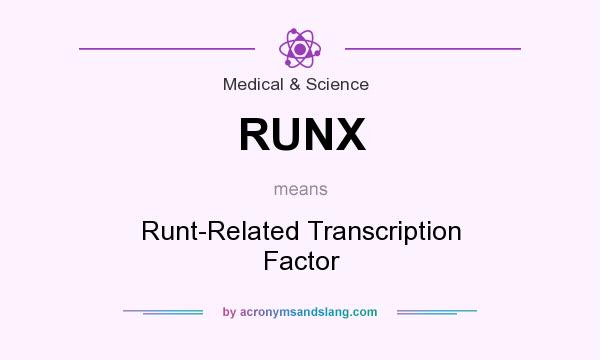 What does RUNX mean? It stands for Runt-Related Transcription Factor