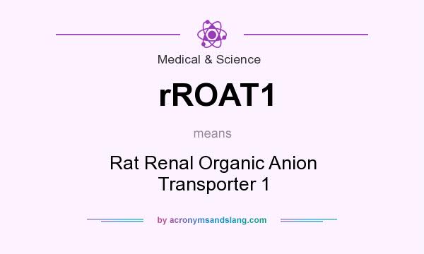 What does rROAT1 mean? It stands for Rat Renal Organic Anion Transporter 1