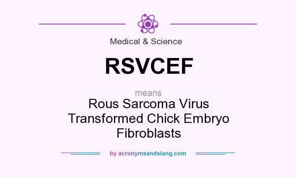 What does RSVCEF mean? It stands for Rous Sarcoma Virus Transformed Chick Embryo Fibroblasts