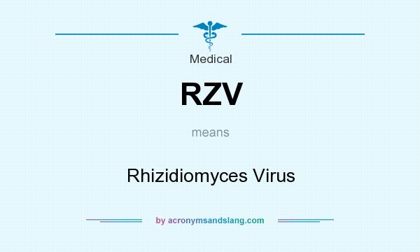 What does RZV mean? It stands for Rhizidiomyces Virus