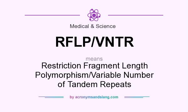 What does RFLP/VNTR mean? It stands for Restriction Fragment Length Polymorphism/Variable Number of Tandem Repeats